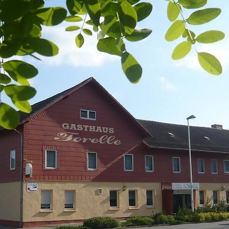 Gasthaus Forelle Тале Экстерьер фото